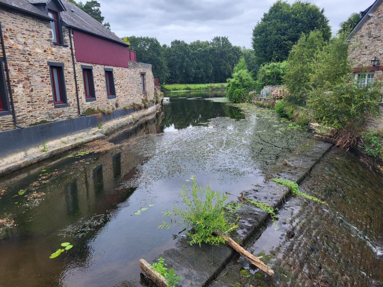 Gite De La Muse Centre Ville - Jardin Sérent 외부 사진